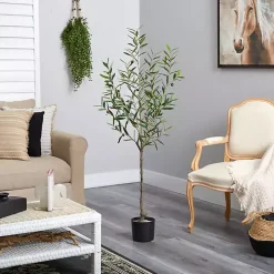 Italian Olive Tree in Black Nursery Planter, 5 ft.