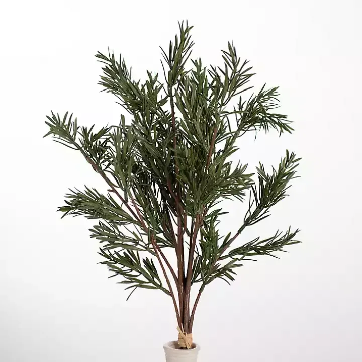 Japanese Pine Stems, Set of 2