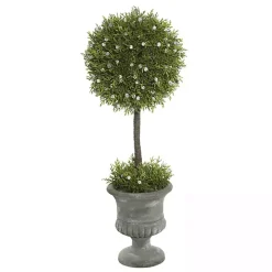 Juniper Ball Tree in Pedestal Urn