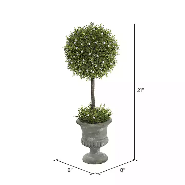 Juniper Ball Tree in Pedestal Urn