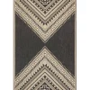 Landy Dark Gray Aztec Outdoor Rug, 8x10