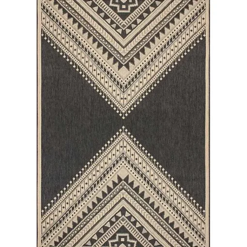 Landy Dark Gray Aztec Outdoor Rug, 8x10