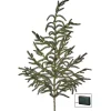 LED Natural Touch Norfolk Pine Spray