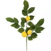Lemon Leaf Spray Stems, Set of 4