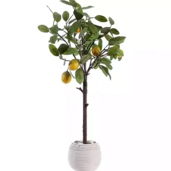 Lemon Tree in White Pot