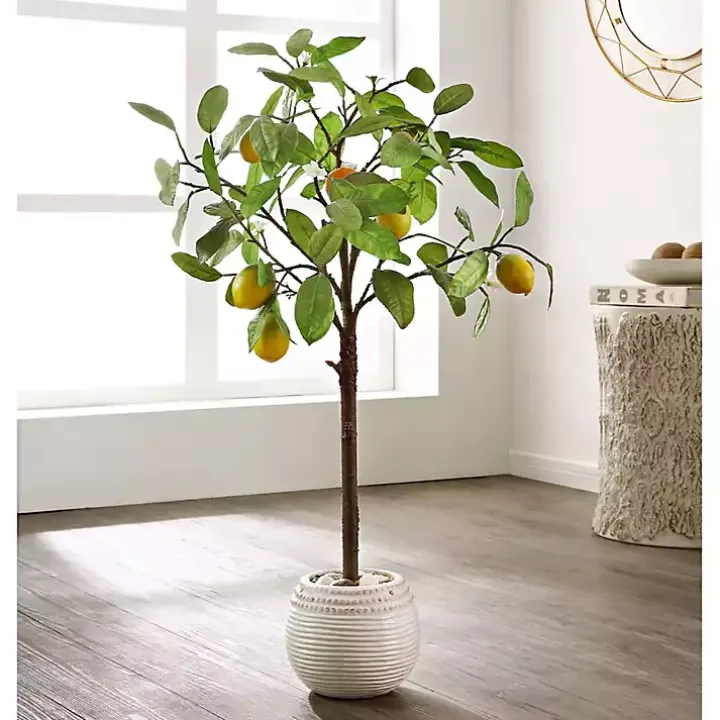 Lemon Tree in White Pot