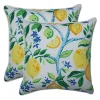 Lemon Vines Outdoor Throw Pillows, Set of 2