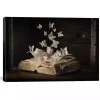 Lepidopterology Canvas Art Print