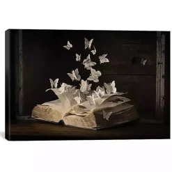 Lepidopterology Canvas Art Print