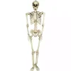 Life Size Outdoor Skeleton Decoration