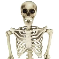 Life Size Outdoor Skeleton Decoration