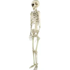 Life Size Outdoor Skeleton Decoration