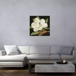 Magnolia Grandiflora Canvas Art Print