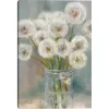 Mason Jar Wishes I Canvas Art Print