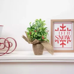 Merry Let It Snow 2-pc. Christmas Wall Plaque Set