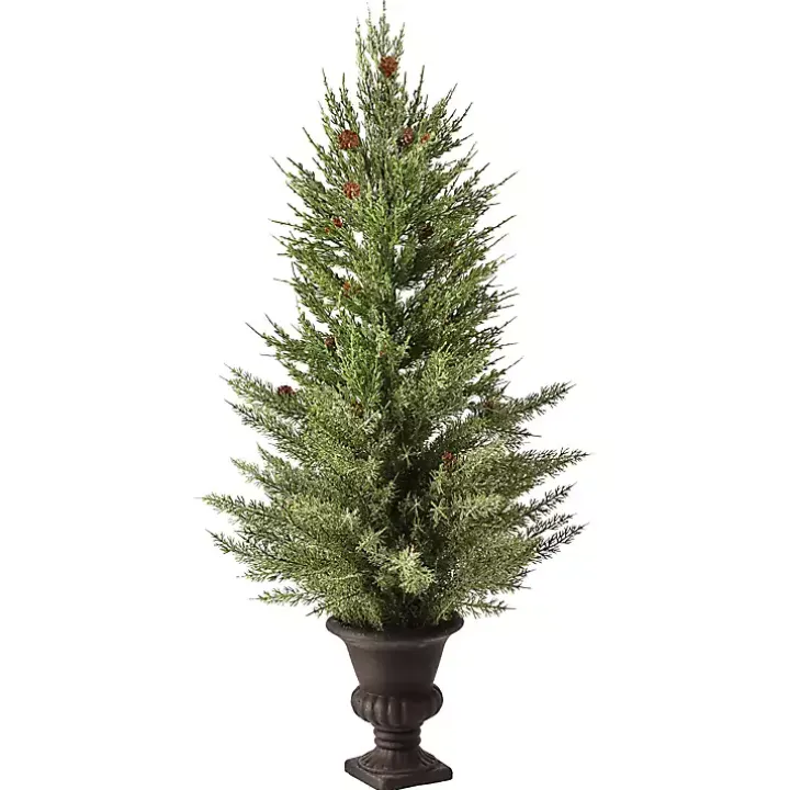 Mini Spruce Tree in Urn Planter