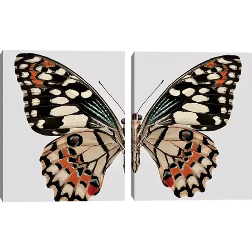 Monarch Butterfly I & II Canvas Prints, Set of 2