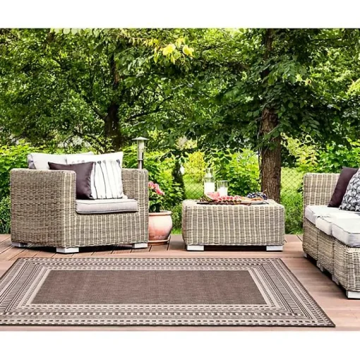 Natural Linear Macy Indoor/Outdoor Area Rug, 6x9