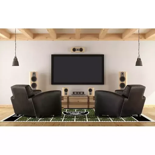 NFL Las Vegas Raiders Home Field Area Rug, 6x8