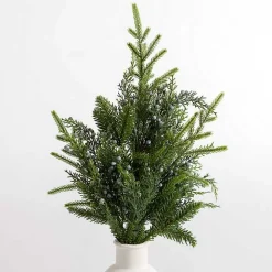 Norfolk Pine and Blue Berry Stem