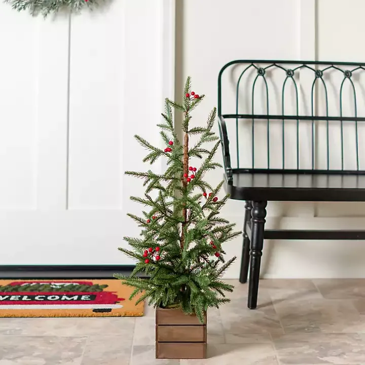 Norfolk Pine and Red Berry Tree Arrangement