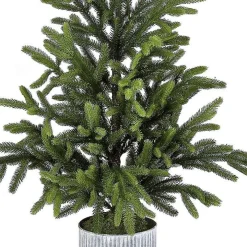 Norway Spruce Potted Christmas Tree