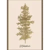 Oh Tannenbaum Framed Canvas Art Print