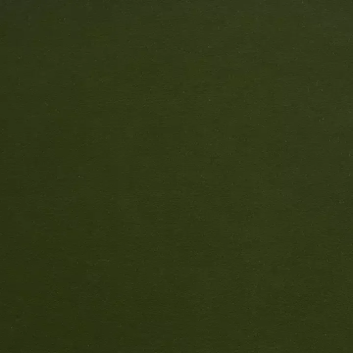 Olive Alpine Blackout Curtain Panel, 95 in.