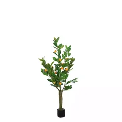 Orange Fruit Tree in Black Pot, 4 ft.