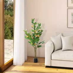 Orange Fruit Tree in Black Pot, 4 ft.