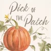 Orange Pick of the Patch Framed Canvas Art Print