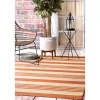Orange Robin Stripe Outdoor Rug, 5x8
