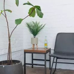 Palm Arrangement in Tan Footed Pot