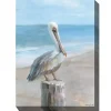 Pelican Portrait Outdoor Canvas Art Print