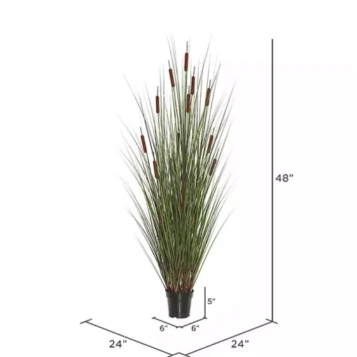 Potted Brown Cats Tails Grass, 48 in.