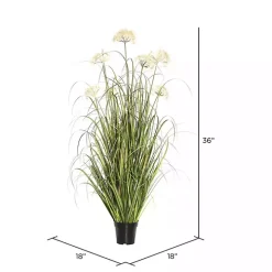 Potted Flowering Grass, 36 in.
