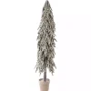 Potted Soft Touch Snowy Norfolk Pine Tree, 60 in.