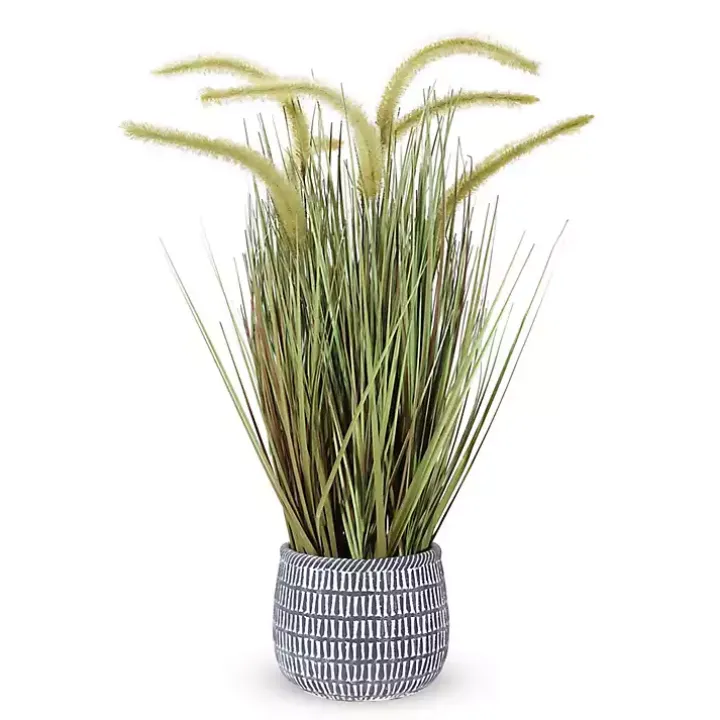 Prairie Grass in Pot