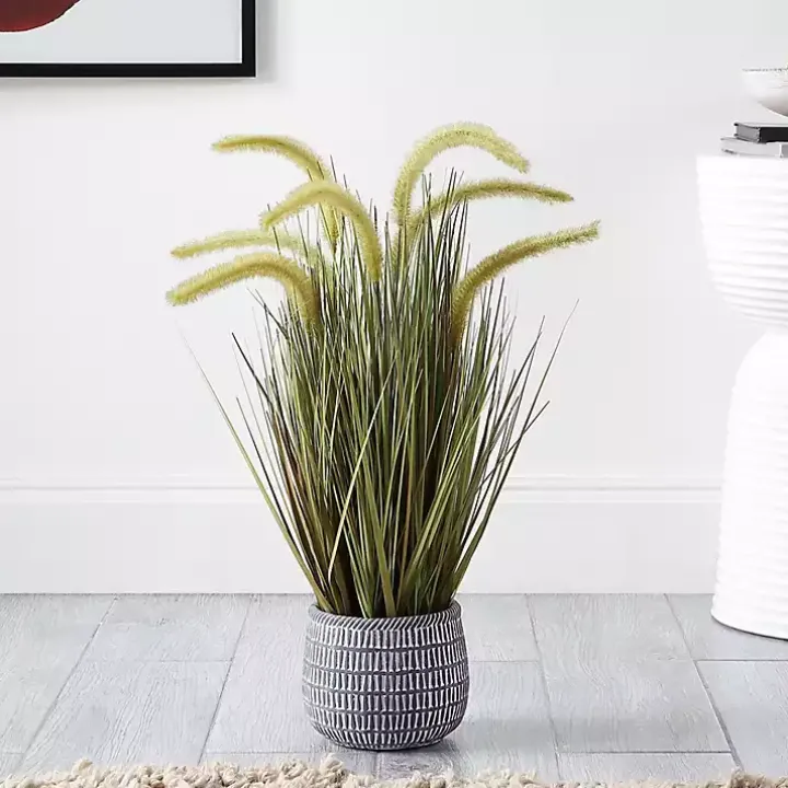 Prairie Grass in Pot