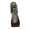 Pre-Lit Animated Shrouded Witch Outdoor Decoration