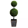 Pre-Lit Double Boxwood Topiary in Planter, 3 ft.
