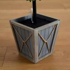 Pre-Lit Double Boxwood Topiary in Planter, 3 ft.