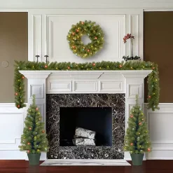 Pre-Lit Multicolor 4-pc. Christmas Greenery Set