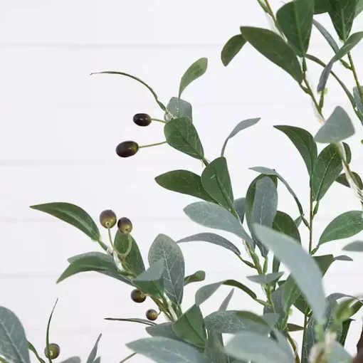 Pre-Lit Warm LED Olive Tree, 4 ft.