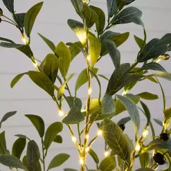Pre-Lit Warm LED Olive Tree, 4 ft.