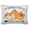 Pumpkin Patch with Black Buffalo Check Back Pillow