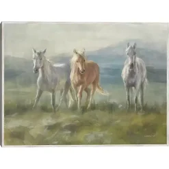 Rangeland Horses Framed Canvas Art Print