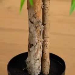 Real Touch Willow Tree in Black Planter, 4 ft.