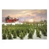 Red Barn and Christmas Tree Farm Canvas Art Print