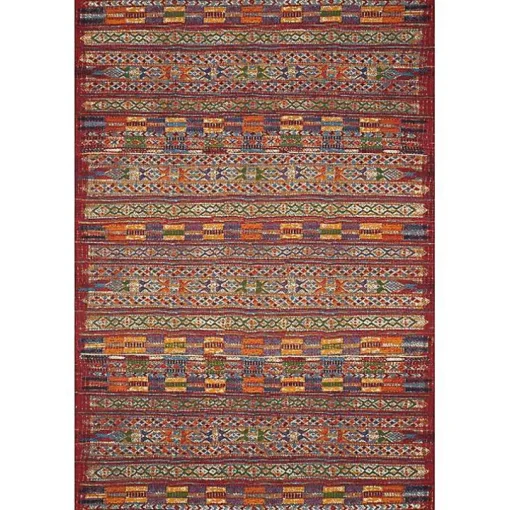 Red Multicolor Southwestern Outdoor Area Rug, 7x11